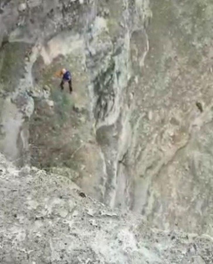 Kayalıklarda mahsur kalan keçileri AFAD ekipleri kurtardı G3