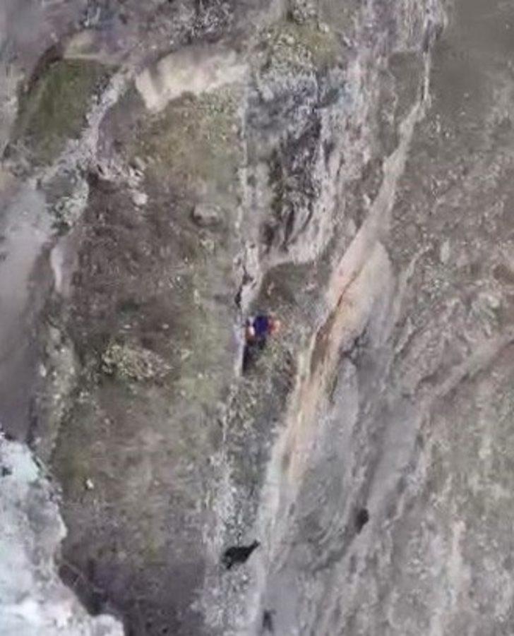 Kayalıklarda mahsur kalan keçileri AFAD ekipleri kurtardı G4