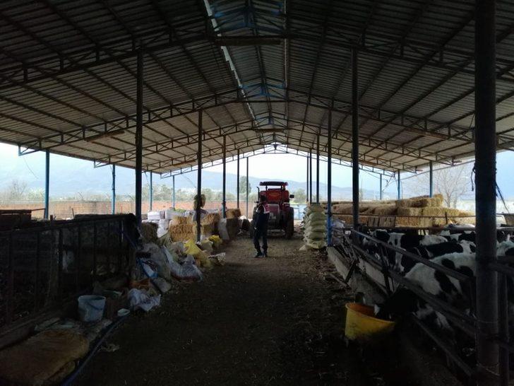 10 yaşındaki Oktay yem karma makinesine sıkışarak can verdi! G1