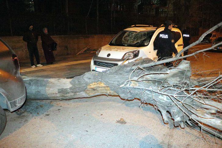Şiddetli fırtına Başkent'i yıktı geçti! Ağaçlar devrildi, çatılar uçtu G3