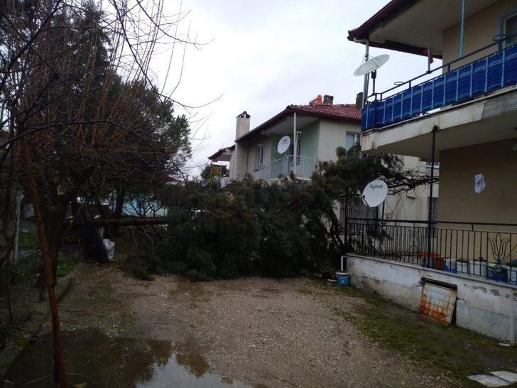 Selendi’de şiddetli rüzgar ağaçları devirdi G2