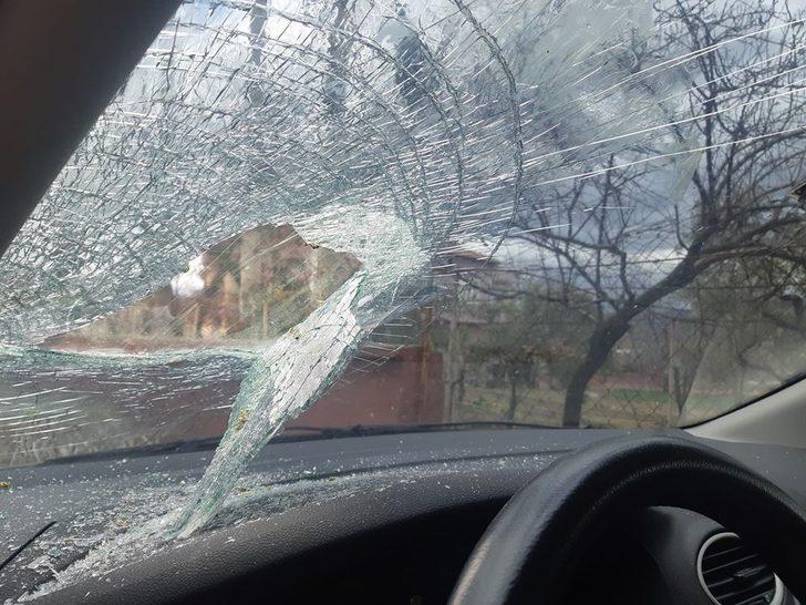 Selendi’de şiddetli rüzgar ağaçları devirdi G3