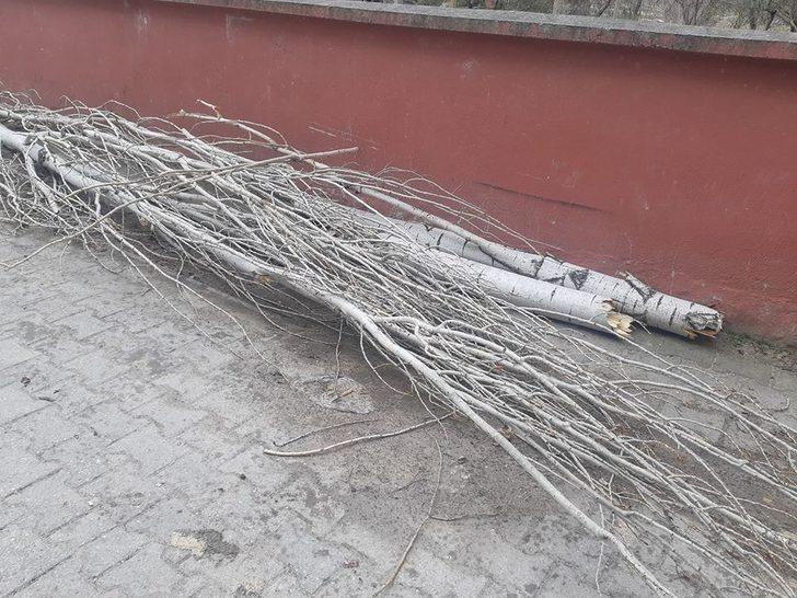 Selendi’de şiddetli rüzgar ağaçları devirdi G4