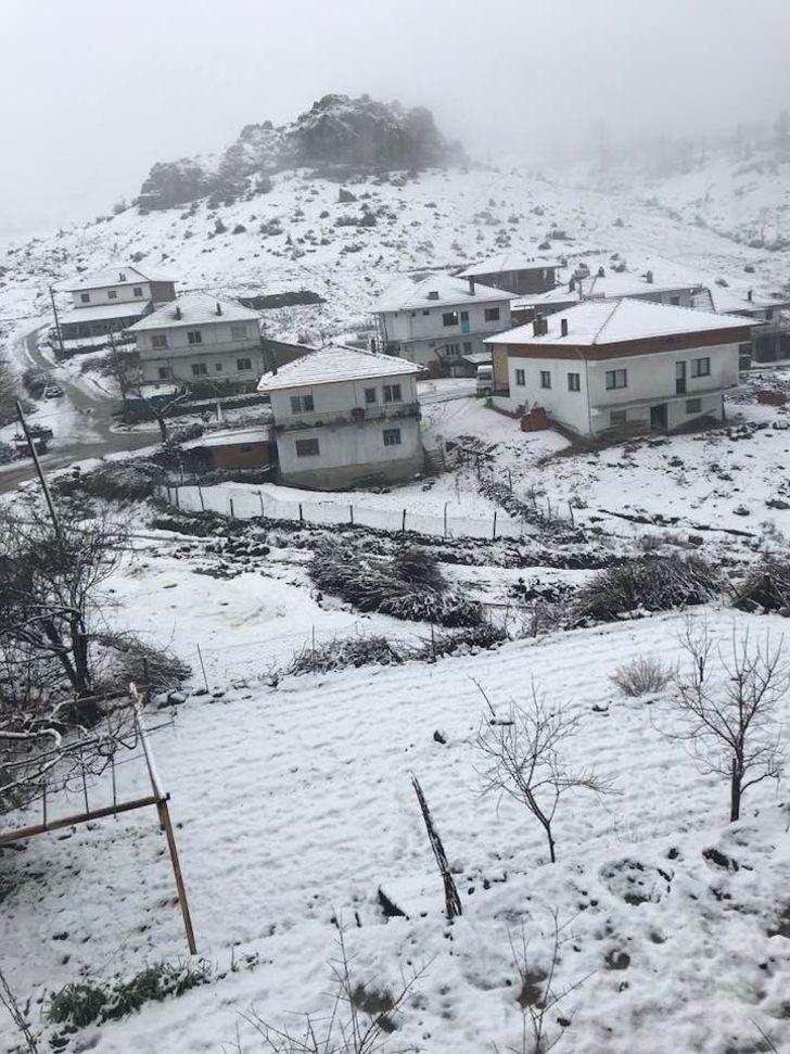 Selendi’de şiddetli rüzgar ağaçları devirdi G5