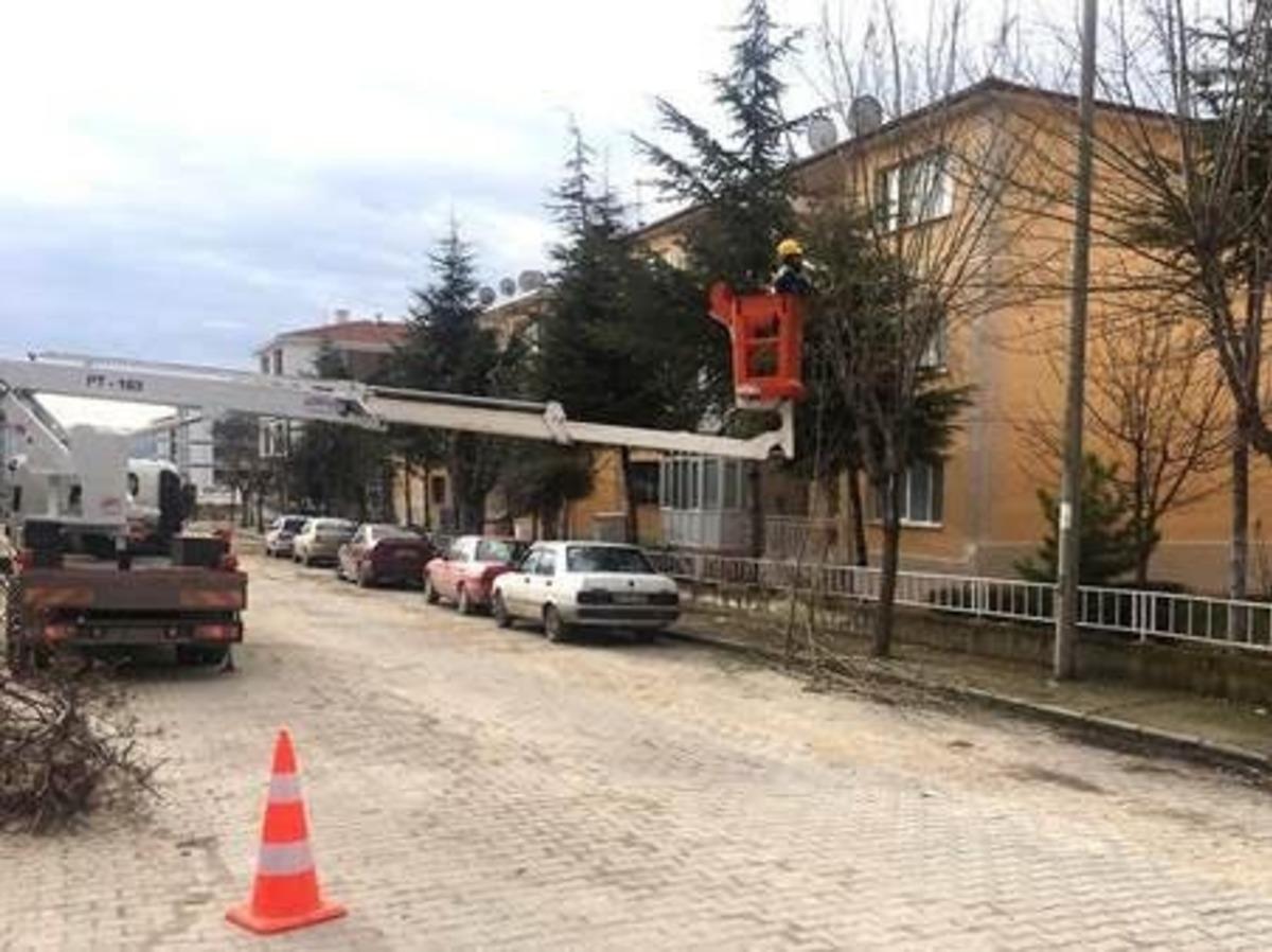 Daha yeşil bir Odunpazarı i&ccedil;in &ccedil;alışıyorlar