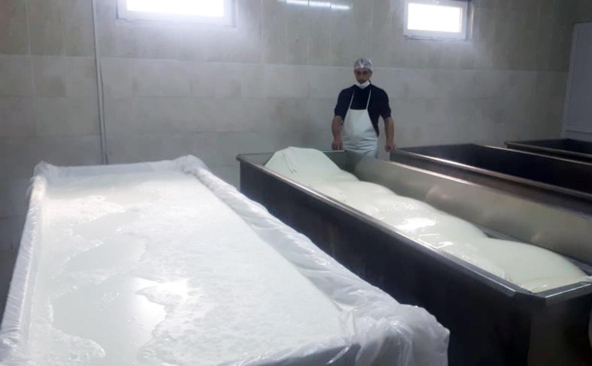  K&ouml;yl&uuml;lerin kurduğu kooperatif b&ouml;lge ekonomisine can veriyor