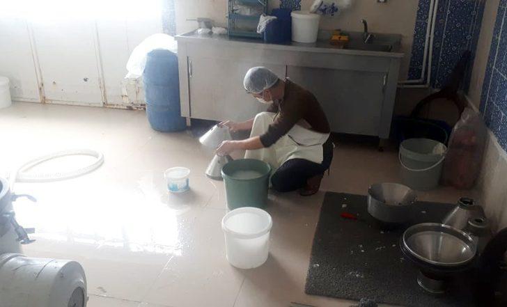  Köylülerin kurduğu kooperatif bölge ekonomisine can veriyor G3