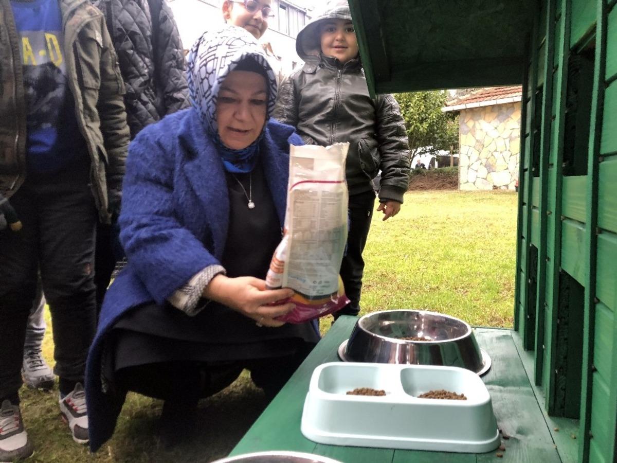 Sancaktepe&rsquo;de soğuk havadan korunmaları i&ccedil;in kedilere ev