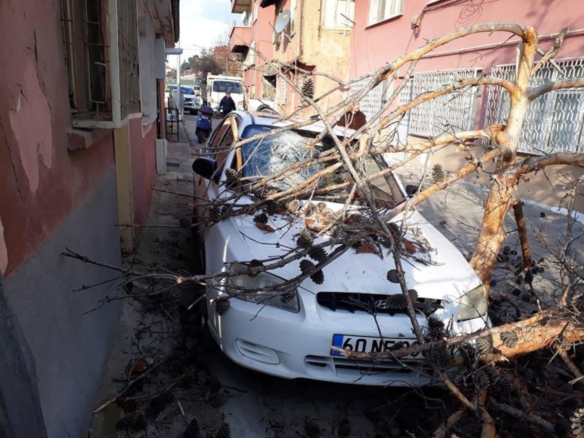 Tokat&rsquo;ta aracın &uuml;zerine ağa&ccedil; devrildi