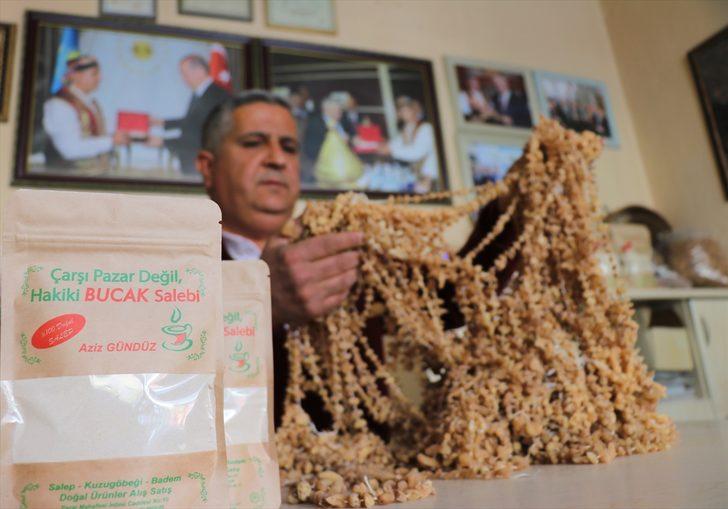 Toroslar'ın yabani orkidesinden hazırlanan Bucak salebine ilgi artıyor G3