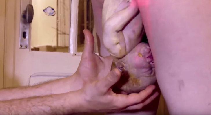 Canlı yayında 8. kez doğum yaptı G2