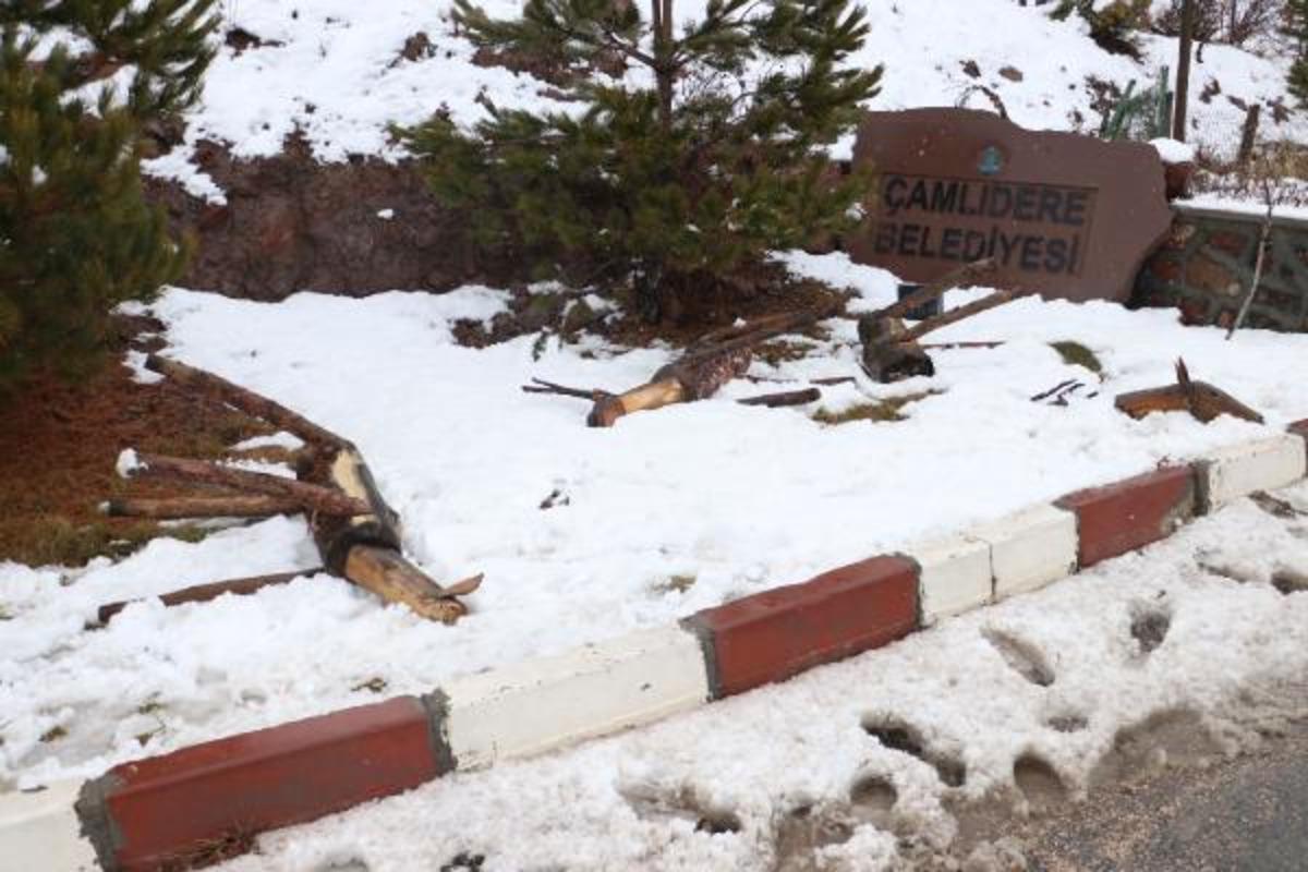 Ankara'da 30 ahşap hayvan heykeline saldırı: Putlarınızı buradan alın