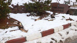 Ankara'da 30 ahşap hayvan heykeline saldırı: Putlarınızı buradan alın