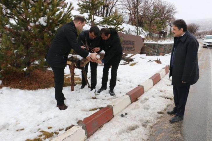 Ankara'da 30 ahşap hayvan heykeline saldırı: Putlarınızı buradan alın G2