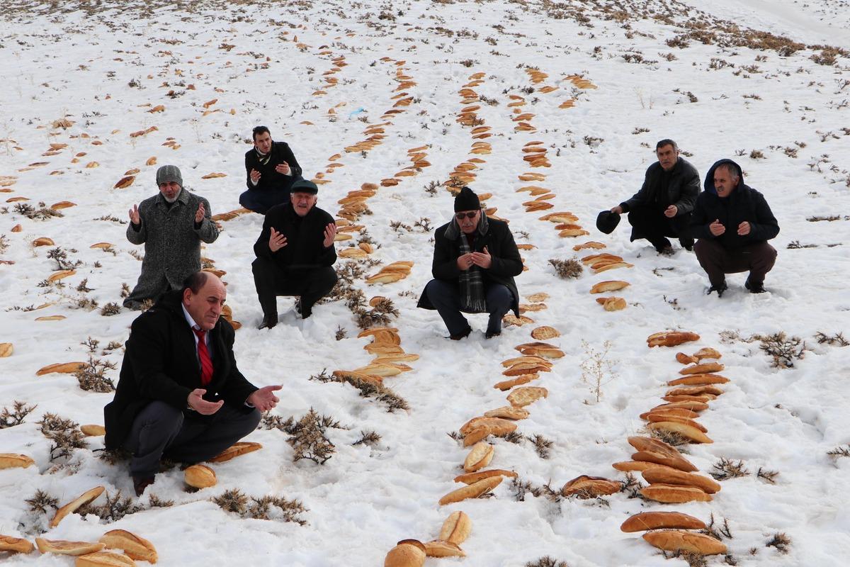 Doğaya 2001 ekmek bırakıp, dua ettiler!