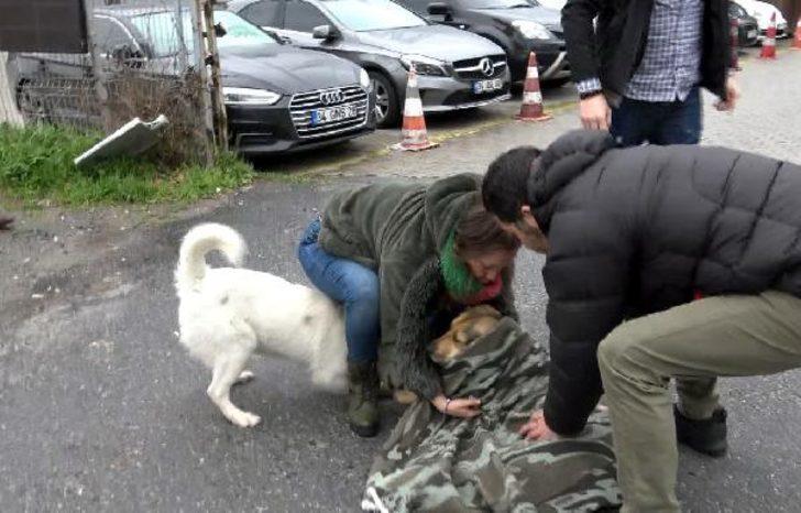 Yer: Avcılar! Uzun süre başından ayrılmadı G1