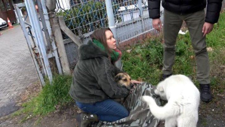 Yer: Avcılar! Uzun süre başından ayrılmadı G2