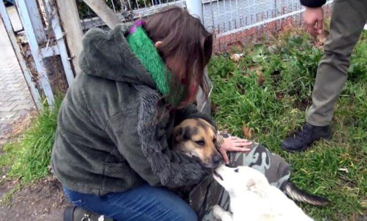 Yer: Avcılar! Uzun süre başından ayrılmadı G3