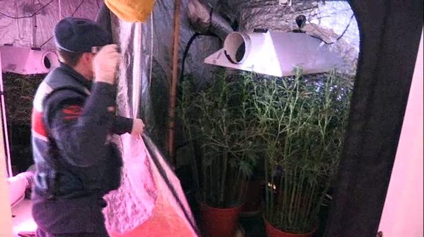 L&uuml;ks villa uyuşturucu serasına d&ouml;n&uuml;şt&uuml;r&uuml;lm&uuml;ş