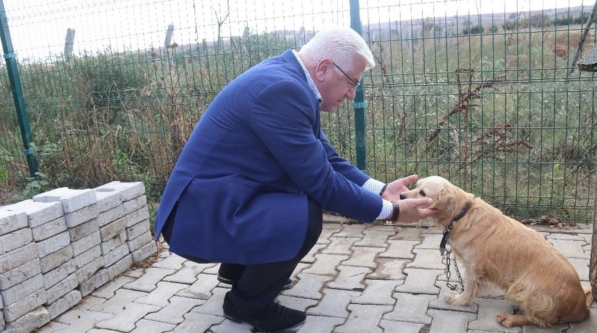 Ergene&rsquo;de sokak hayvanları sahiplendiriliyor