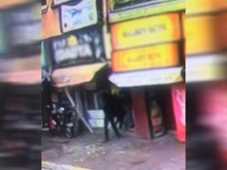 Yer: Antalya! Ölümden böyle kurtuldu G4