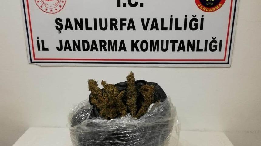 Şanlıurfa&rsquo;da uyuşturucu operasyonu: 2 tutuklama