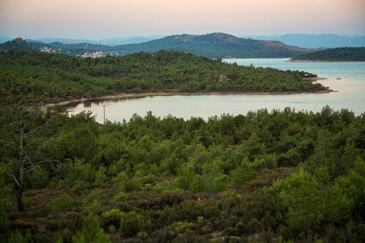 Tabiat Parkı için tek yürek oldular G3