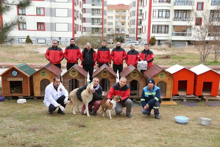 Sokak hayvanları için özel kulübeler G1