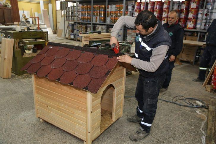 Sokak hayvanları için özel kulübeler G3