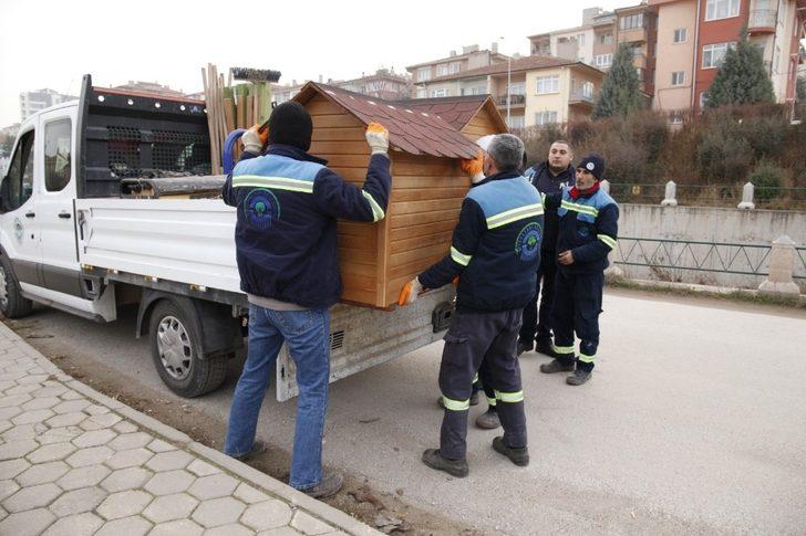 Sokak hayvanları için özel kulübeler G4