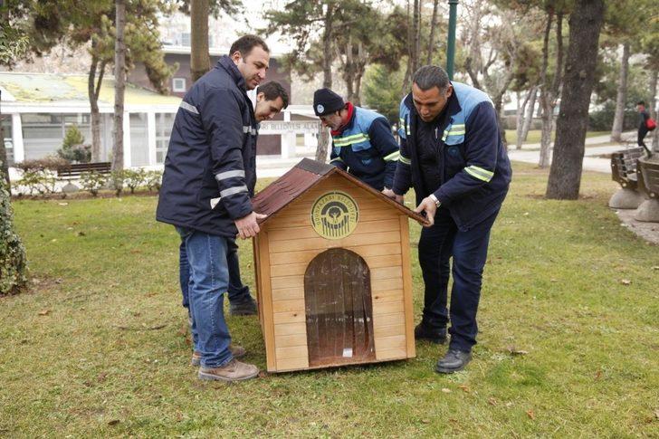 Sokak hayvanları için özel kulübeler G5