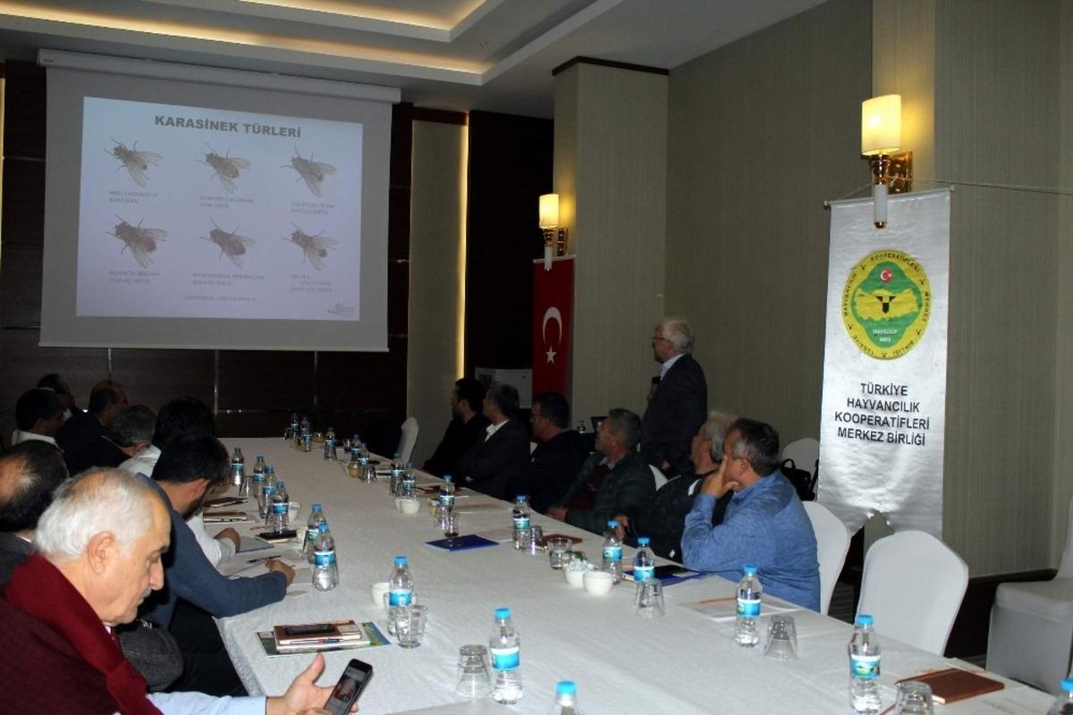 &Ouml;RKOOP Başkanı &Ouml;nal, HAYKOOP toplantısını değerlendirdi