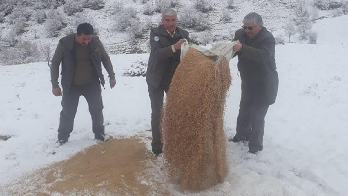Kırıkkale&rsquo;de hayvanlar a&ccedil; kalmasın diye doğaya yem bırakıldı