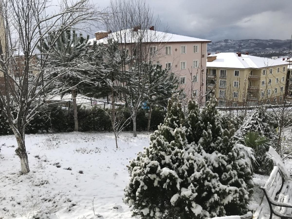 Sakarya beyaza b&uuml;r&uuml;nd&uuml;