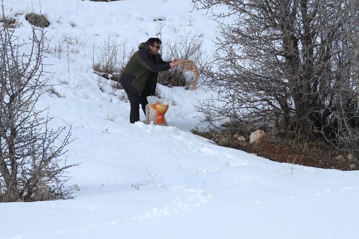 DKMP yemleme &ccedil;alışmalarını s&uuml;rd&uuml;r&uuml;yor
