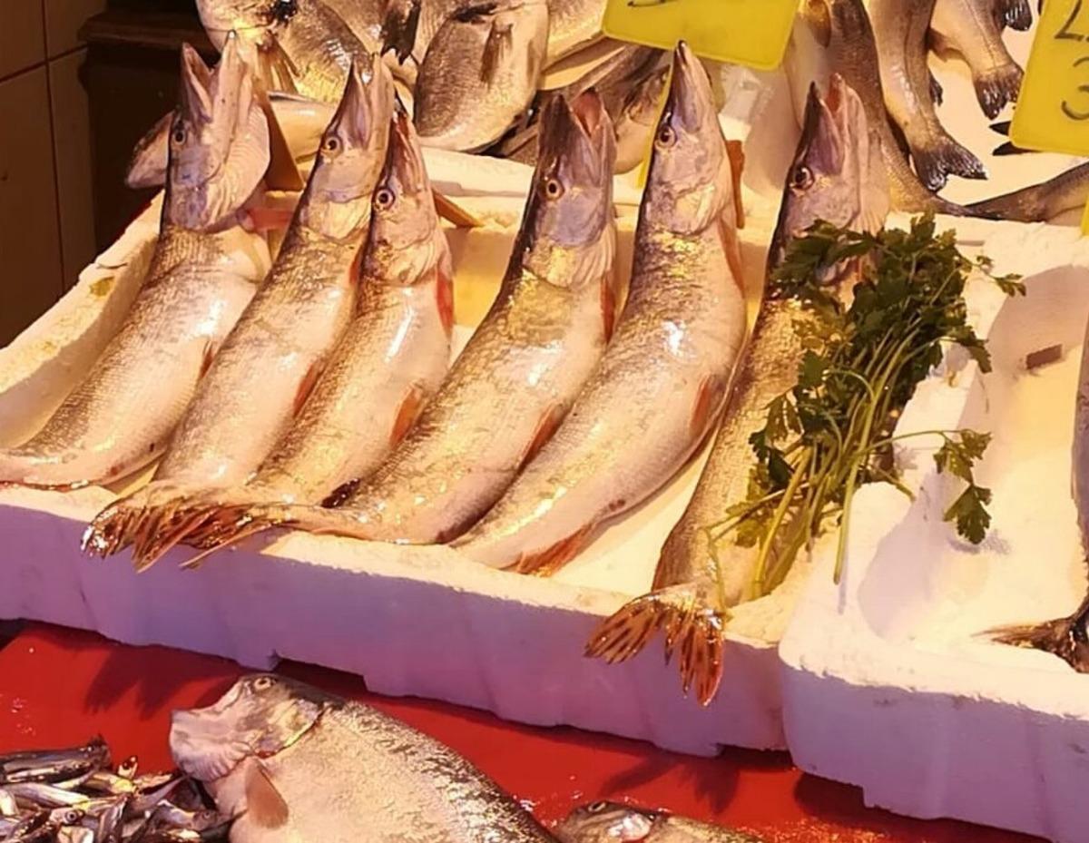 &Uuml;reme d&ouml;nemindeki balıkların satışına 30 bin lira ceza