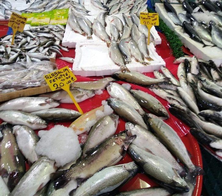 Üreme dönemindeki balıkların satışına 30 bin lira ceza G2