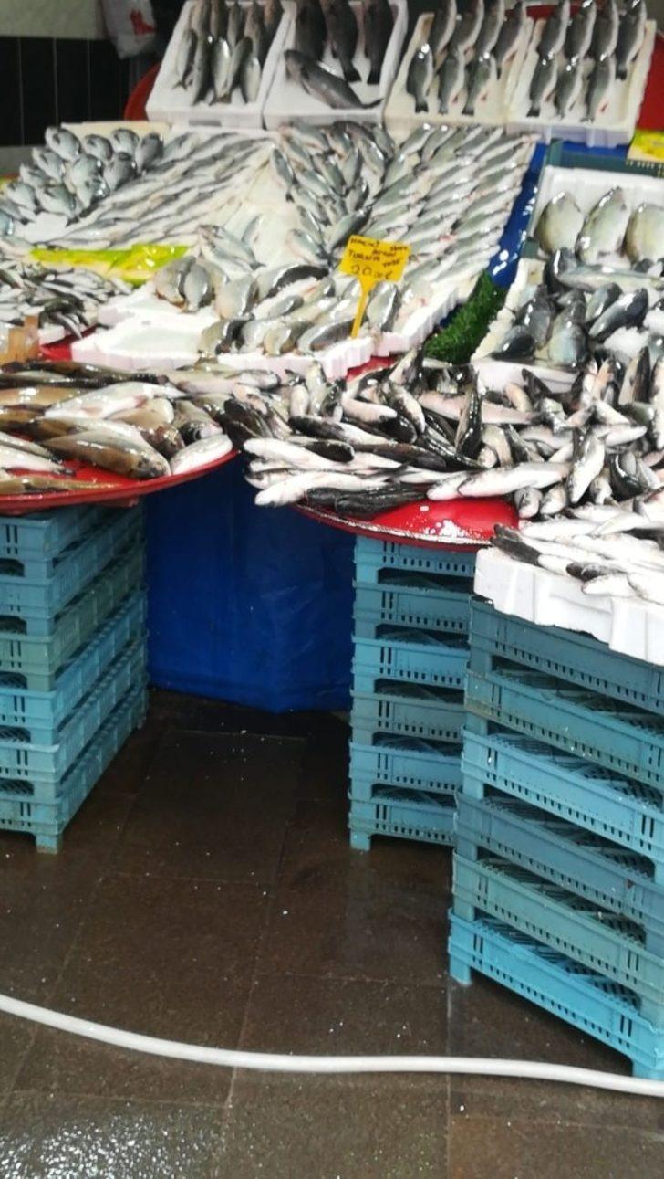 Üreme dönemindeki balıkların satışına 30 bin lira ceza G3