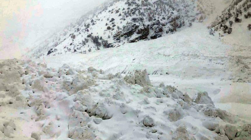 Son dakika! Van'ın Çatak ilçesinde çığ düştü