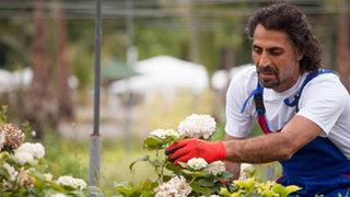 Kurtlar Vadisi'nde şok ayrılık