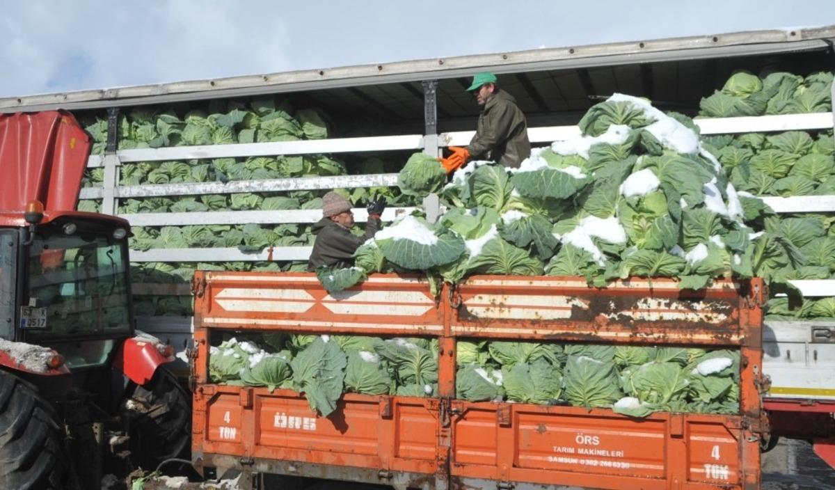 Kışlık sebze fiyatları &uuml;reticinin y&uuml;z&uuml;n&uuml; g&uuml;ld&uuml;rmedi