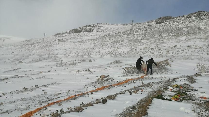 Yaban hayvanları için doğaya yem bırakıldı