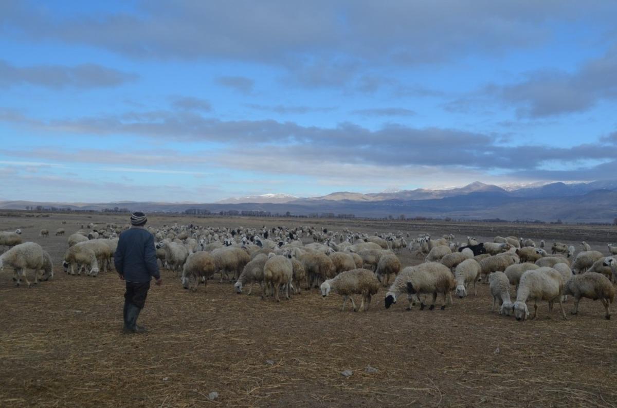 &Ccedil;obanlar hem kış şartları hem de arazi şartları ile m&uuml;cadele ediyor