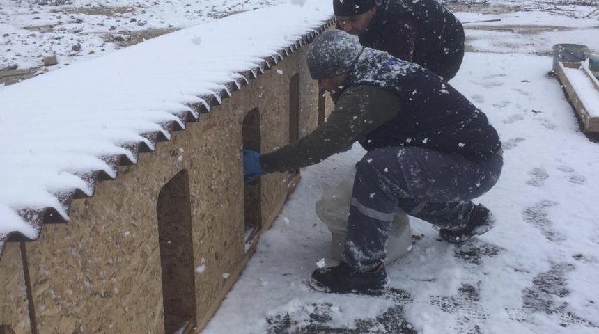 Darıca Belediyesi, sokak hayvanlarını unutmadı