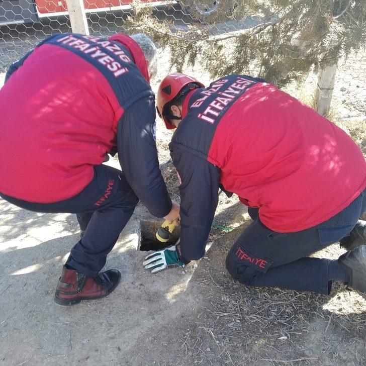 Kuyuda mahsur kalan yavru köpekler kurtarıldı G1