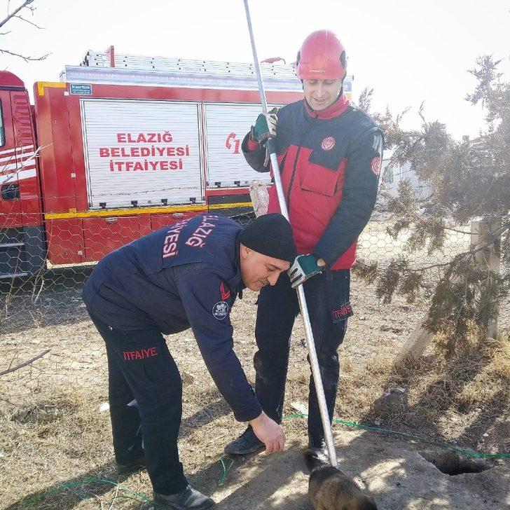 Kuyuda mahsur kalan yavru köpekler kurtarıldı G3