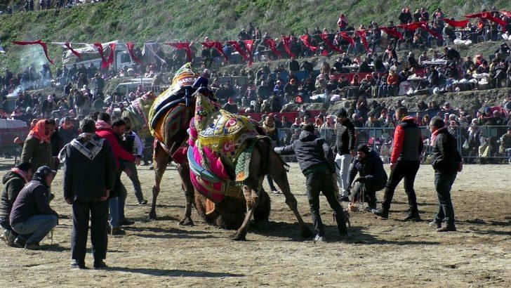 Kuyucak’ta develer depremzedeler yararına güreşti G3