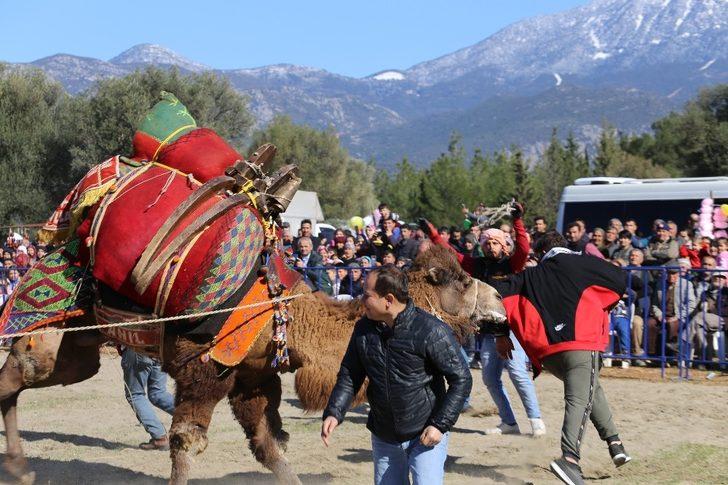 Kaş’ta deve güreşi festivali G3