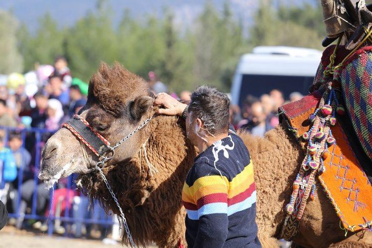 Kaş’ta deve güreşi festivali G4