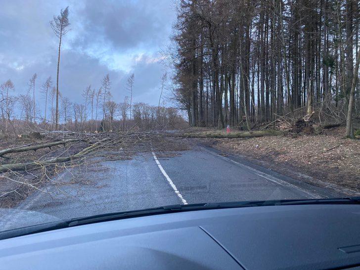 Kuzey ve Orta Avrupa Sabine Kasırgası'nın etkisi altında! Seferler iptal edildi G3